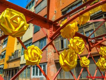 63-ый Фестиваль цветов в Жироне, 2018 / 63ª edició de Girona, Temps de Flors (Tiempo de Flores), 2018 