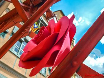 63-ый Фестиваль цветов в Жироне, 2018 / 63ª edició de Girona, Temps de Flors (Tiempo de Flores), 2018 