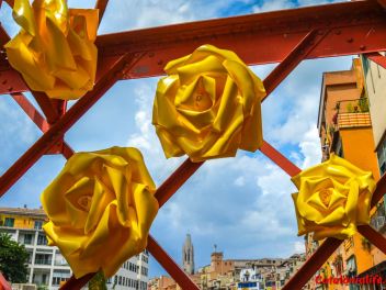 63-ый Фестиваль цветов в Жироне, 2018 / 63ª edició de Girona, Temps de Flors (Tiempo de Flores), 2018 