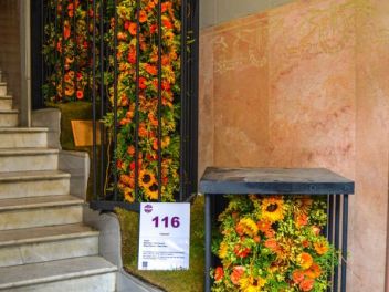 63-ый Фестиваль цветов в Жироне, 2018 / 63ª edició de Girona, Temps de Flors (Tiempo de Flores), 2018 