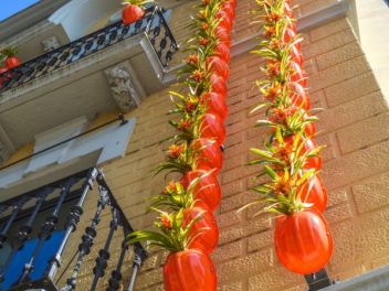 63-ый Фестиваль цветов в Жироне, 2018 / 63ª edició de Girona, Temps de Flors (Tiempo de Flores), 2018 