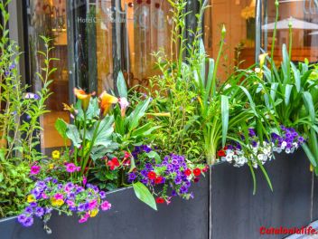 63-ый Фестиваль цветов в Жироне, 2018 / 63ª edició de Girona, Temps de Flors (Tiempo de Flores), 2018 