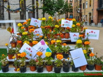 63-ый Фестиваль цветов в Жироне, 2018 / 63ª edició de Girona, Temps de Flors (Tiempo de Flores), 2018 