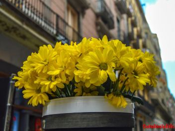 63-ый Фестиваль цветов в Жироне, 2018 / 63ª edició de Girona, Temps de Flors (Tiempo de Flores), 2018 