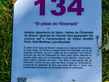 63-ый Фестиваль цветов в Жироне, 2018 / 63ª edició de Girona, Temps de Flors (Tiempo de Flores), 2018 