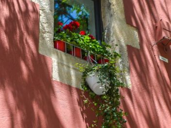 63-ый Фестиваль цветов в Жироне, 2018 / 63ª edició de Girona, Temps de Flors (Tiempo de Flores), 2018 