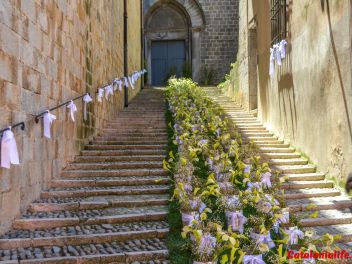 63-ый Фестиваль цветов в Жироне, 2018 / 63ª edició de Girona, Temps de Flors (Tiempo de Flores), 2018 