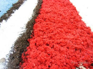 Фестиваль «Ковры из цветов» в Бланесе 2014 г. (Estores de Flors de Raval. Blanes 2014)